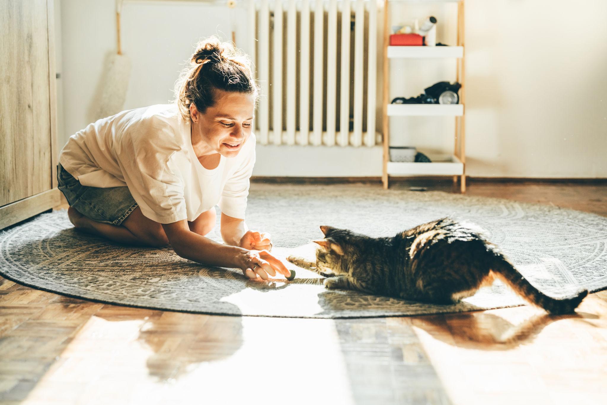 Pet Care Mistakes Many Owners Make Without Realizing