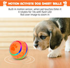 Active Rolling Ball Dog Toy