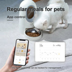 HEYBO Wi-Fi Automatic Cat Feeder