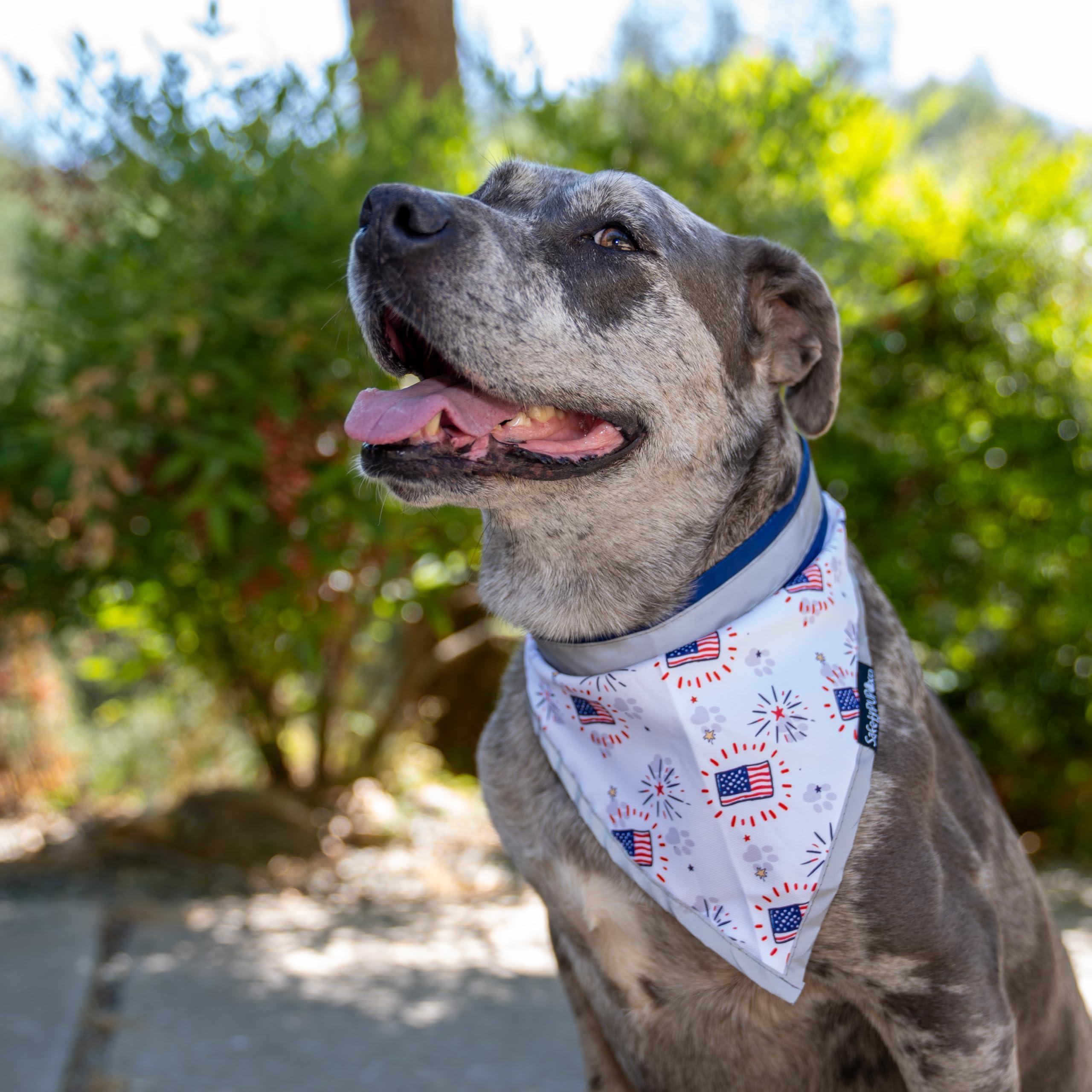 Reflective Pet Bandana 2-Pack, Medium
