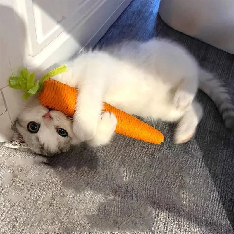 Miroken Catnip Carrot Teething & Scratch Toy