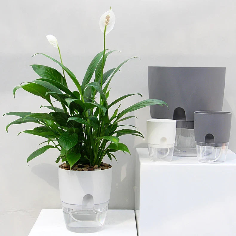 Self Watering Planter for Easy Plant Care