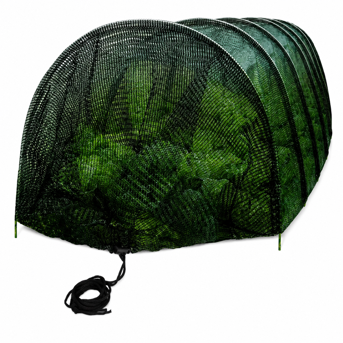 Garden Plant Protection Netting Tunnel, Insect Netting for Vegetables and Birds