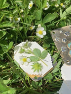 Miroken | Mini Flower Press | Compact Botanical Keepsake Maker | Portable Craft Tool