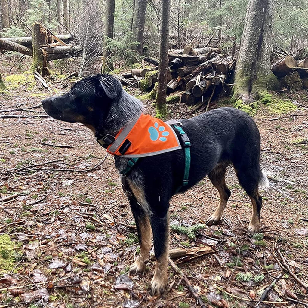 Hi-Vis Orange Reflective Dog Bandana, Large