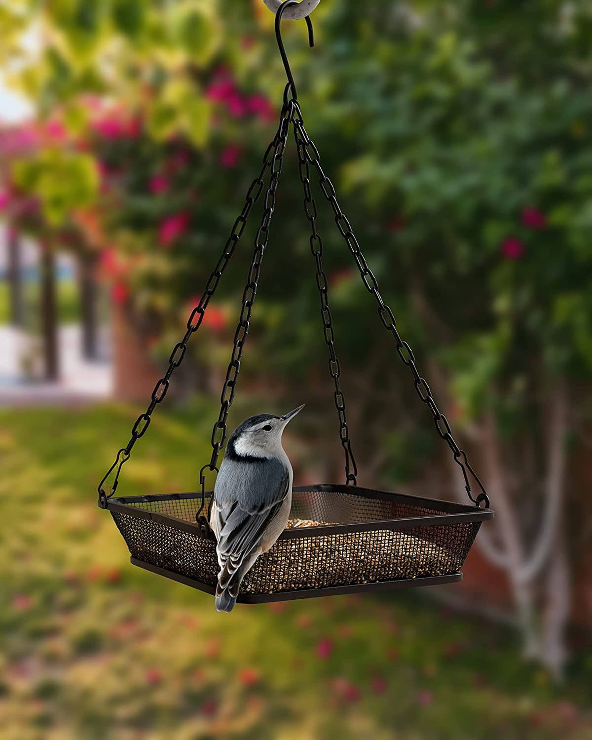 Black Hanging Platform Bird Feeder with Mesh Tray for Outdoor Birds