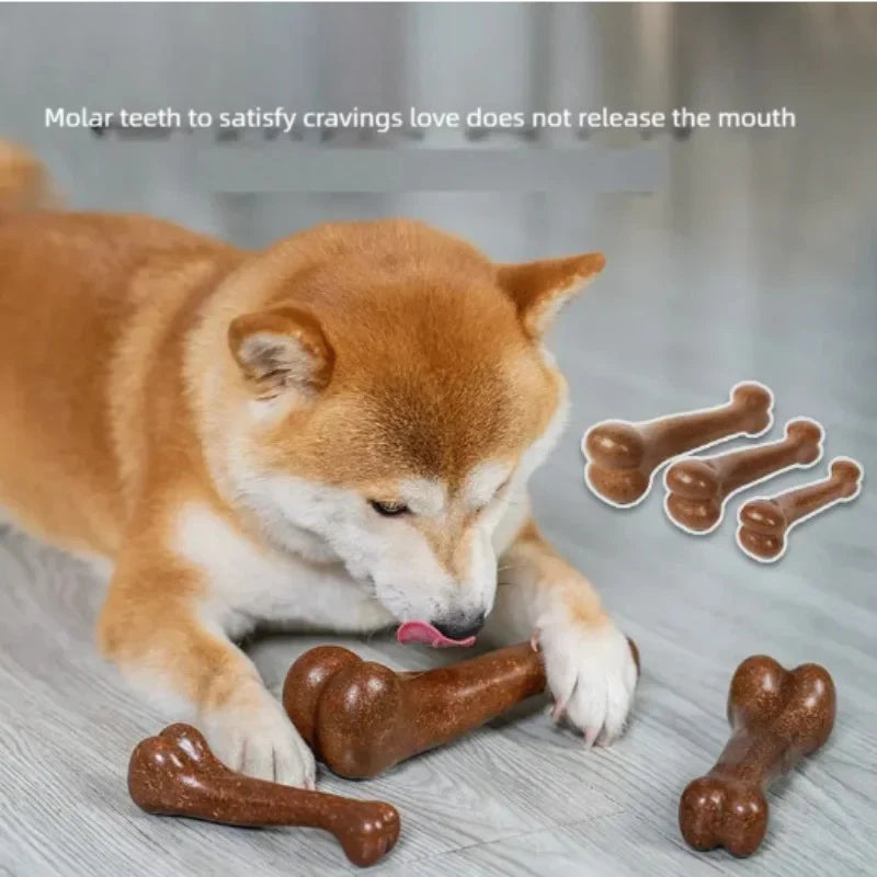 Durable Dog Bone Chew Toy