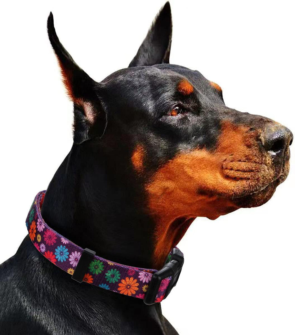 Daisy Floral Dog Collar, Large