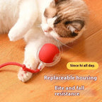 Miroken Smart Rolling Ball Interactive Cat Toy