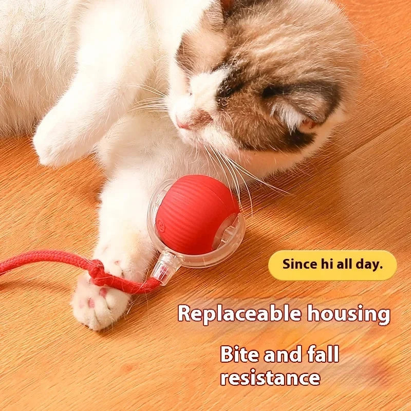 Miroken Smart Rolling Ball Interactive Cat Toy