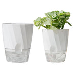 Self Watering Planter for Easy Plant Care