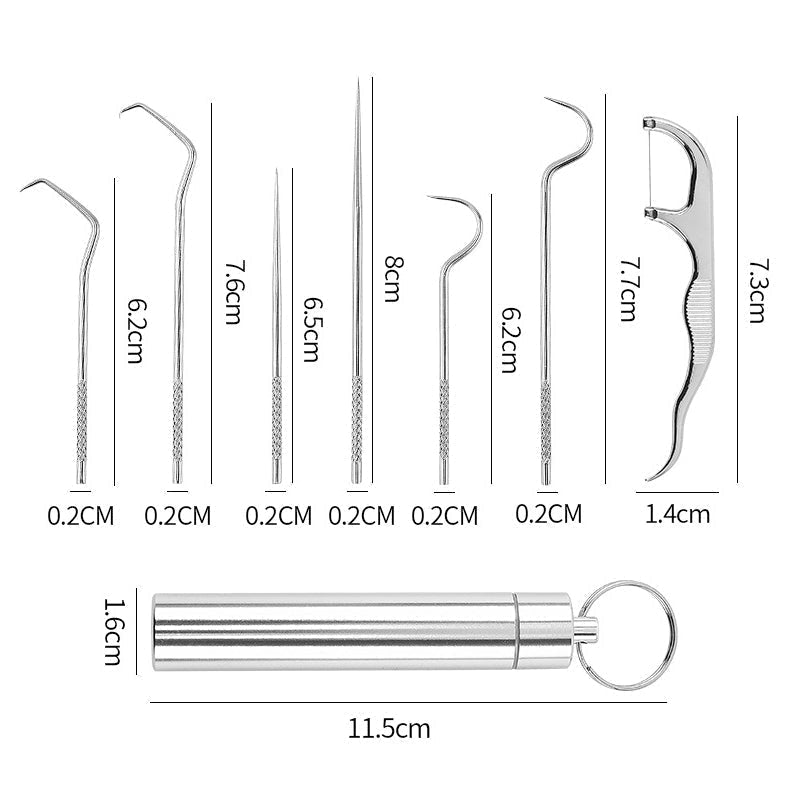 High-Quality Stainless Steel Toothpick Set (7 Pieces) | Dentisafe