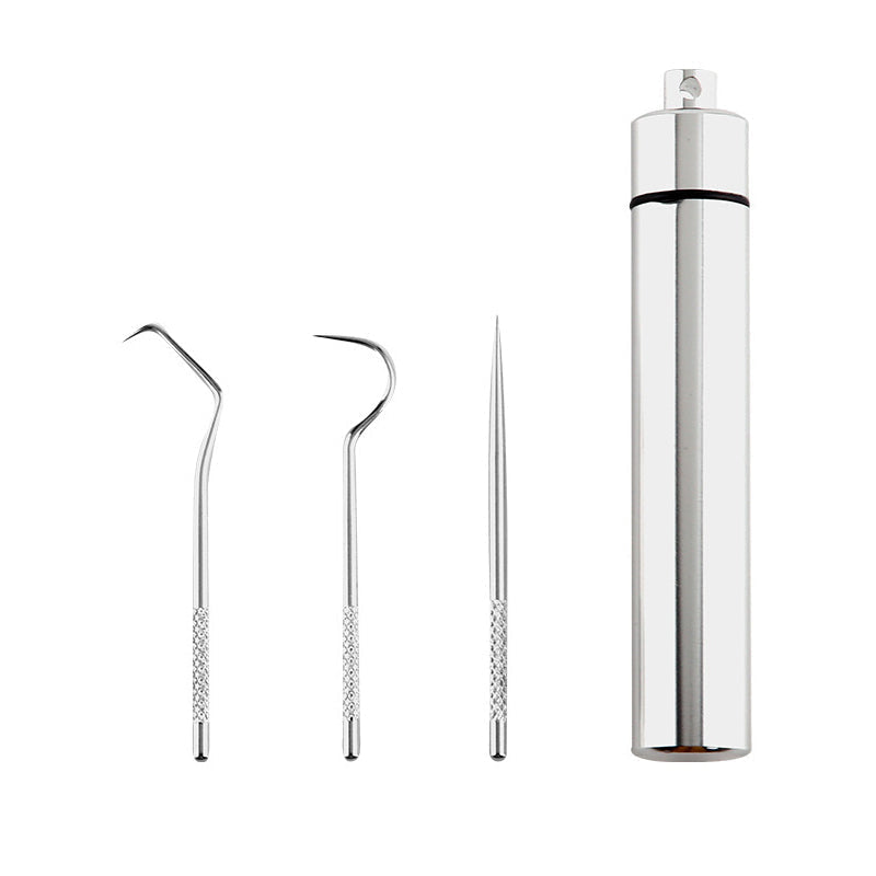 High-Quality Stainless Steel Toothpick Set (7 Pieces) | Dentisafe