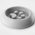 Paw Print Slow Feeder Dog Bowl