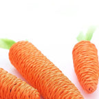 Miroken Catnip Carrot Teething & Scratch Toy