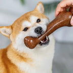 Durable Dog Bone Chew Toy