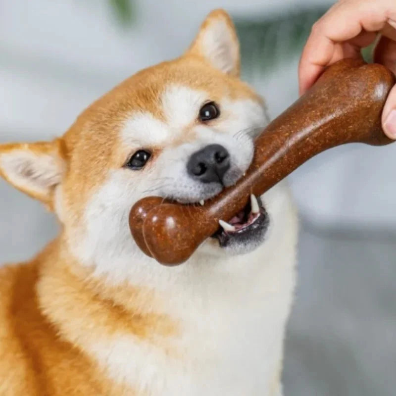 Durable Dog Bone Chew Toy