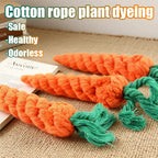 Carrot Rope Dog Chew Toy