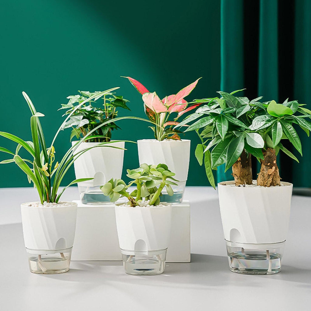 Self Watering Planter for Easy Plant Care