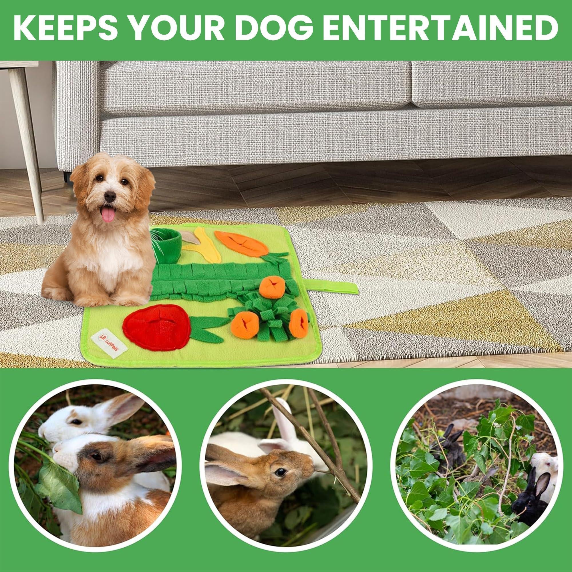 Snuffle Mat for Small Pets