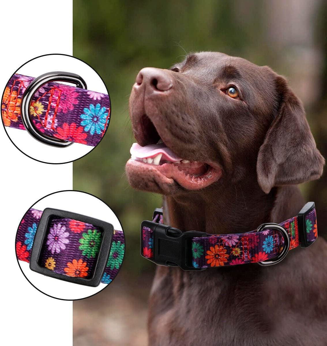 Daisy Floral Dog Collar, Large
