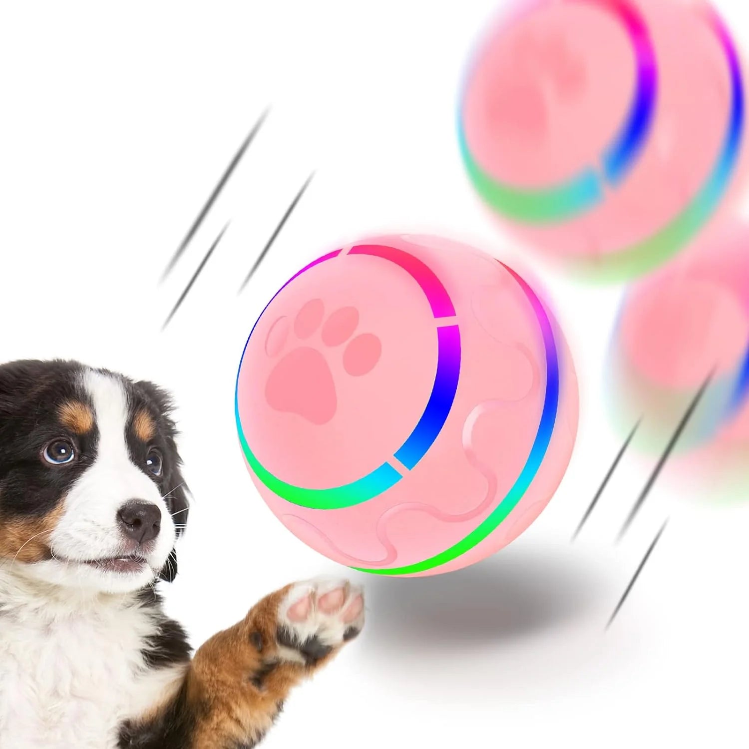Active Rolling Ball Dog Toy