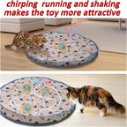 Miroken Hide & Seek Automatic Cat Teaser