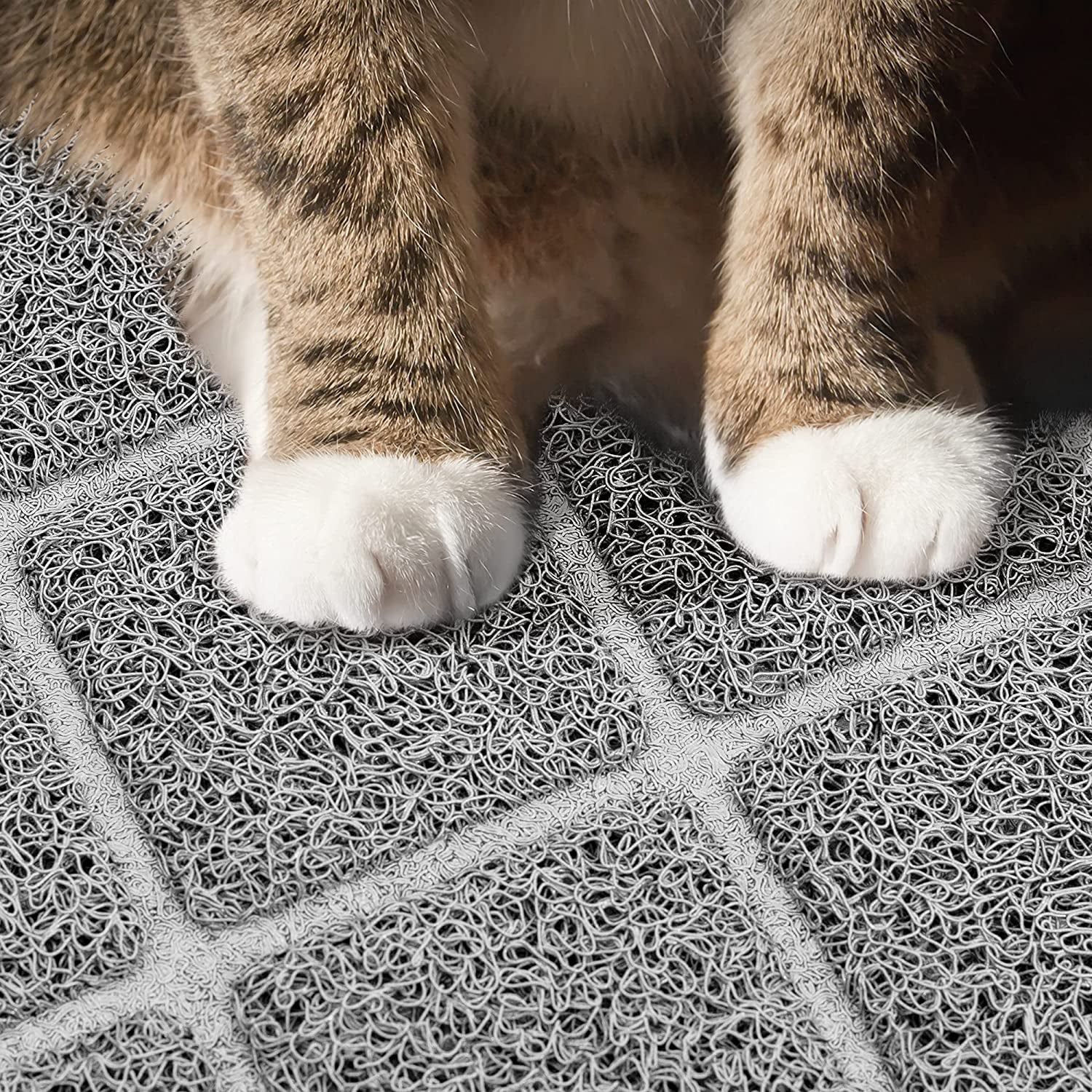 Miroken Premium Non-Slip Cat Litter Mat
