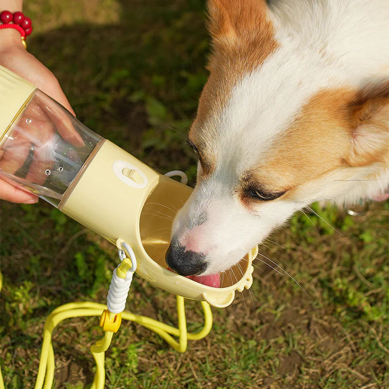 2-in-1 Portable Dog Water Bottle & Bowl