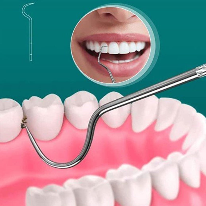 High-Quality Stainless Steel Toothpick Set (7 Pieces) | Dentisafe