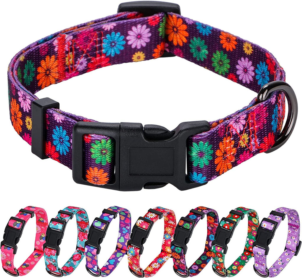 Daisy Floral Dog Collar, Large