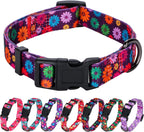 Daisy Floral Dog Collar, Large