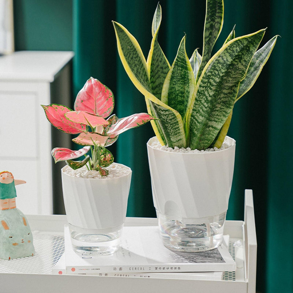 Self Watering Planter for Easy Plant Care