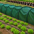 Garden Plant Protection Netting Tunnel, Insect Netting for Vegetables and Birds