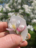 Miroken | Mini Flower Press | Compact Botanical Keepsake Maker | Portable Craft Tool