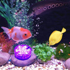 Pool Lights with Remote, 10 Color Changing Pool Lights
