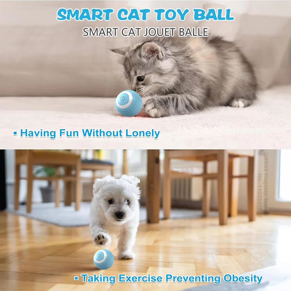 Smart Rolling Ball Cat Toy