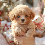 Miroken | Interactive Plush Dog with Realistic Movements – For Children & Seniors