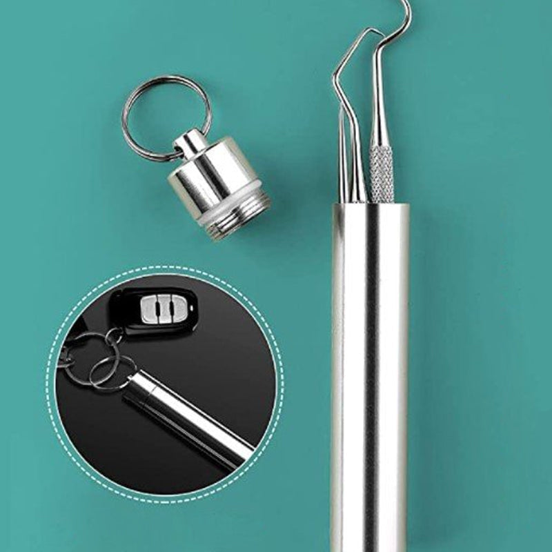 High-Quality Stainless Steel Toothpick Set (7 Pieces) | Dentisafe
