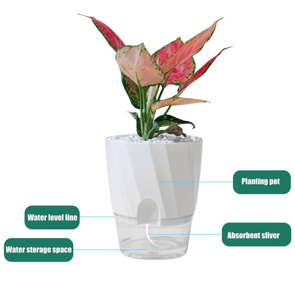 Self Watering Planter for Easy Plant Care