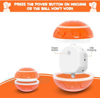 Active Rolling Ball Dog Toy