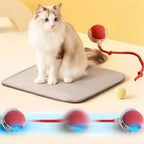 Miroken Smart Rolling Ball Interactive Cat Toy