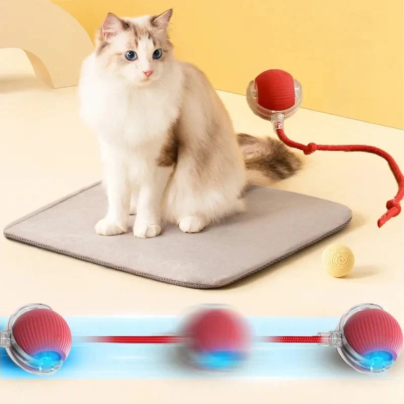 Miroken Smart Rolling Ball Interactive Cat Toy