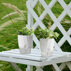 Self Watering Planter for Easy Plant Care
