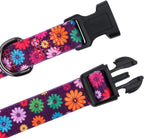 Daisy Floral Dog Collar, Large