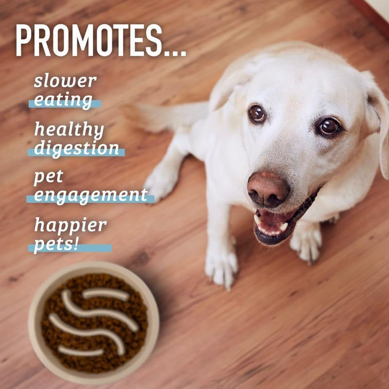 Maze Slow Feeder Dog Bowl, 2 Cup