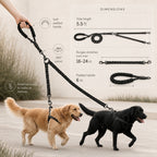 Dual Dog Lead Rope â Shock Absorbing Double Dog Leash with Comfort Handle