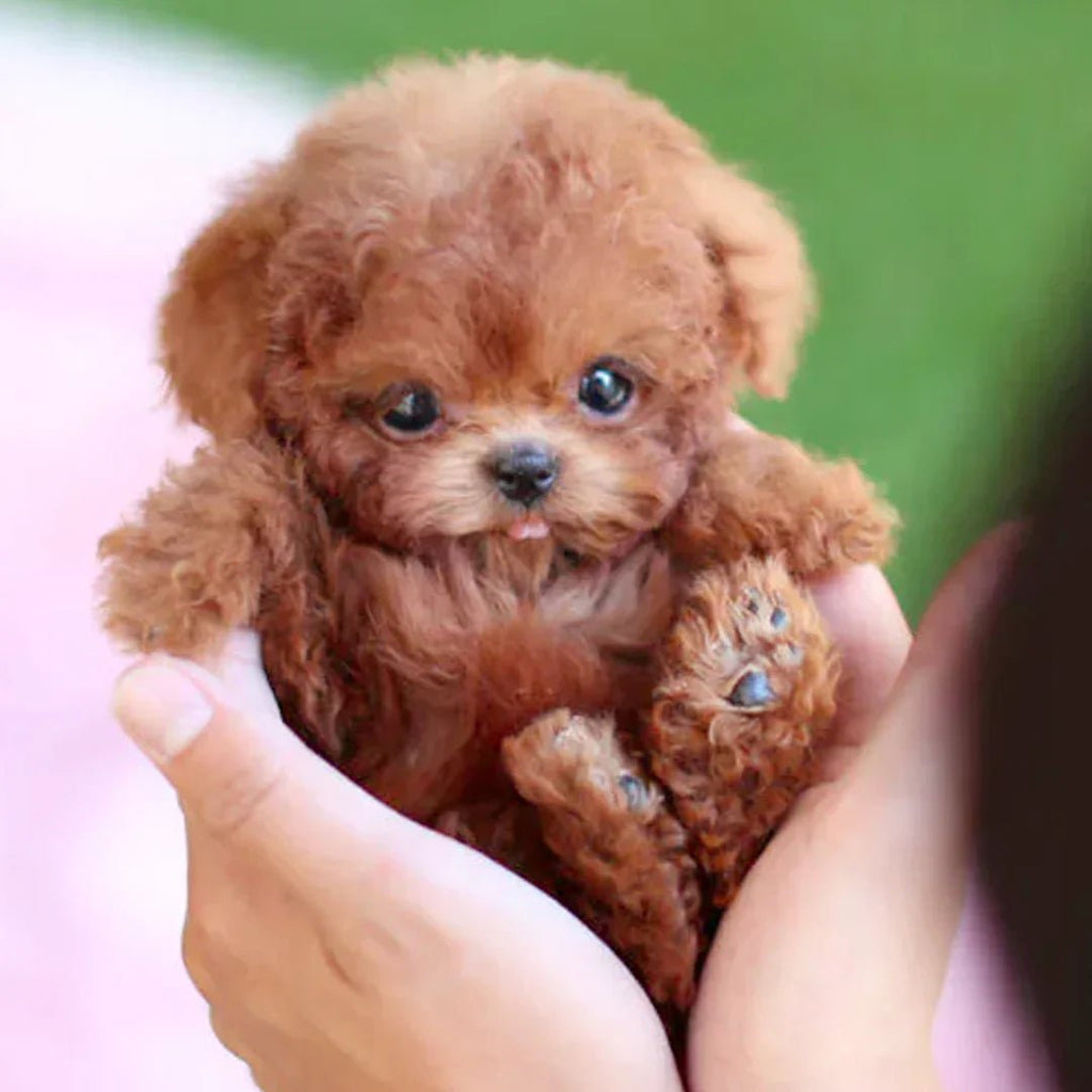 Interactive Plush Puppy Toy with Lifelike Motion & Touch Response | Comforting Companion for All Ages