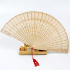 1Ladies fan made of delicate plastic with artistic cut pattern Miroken