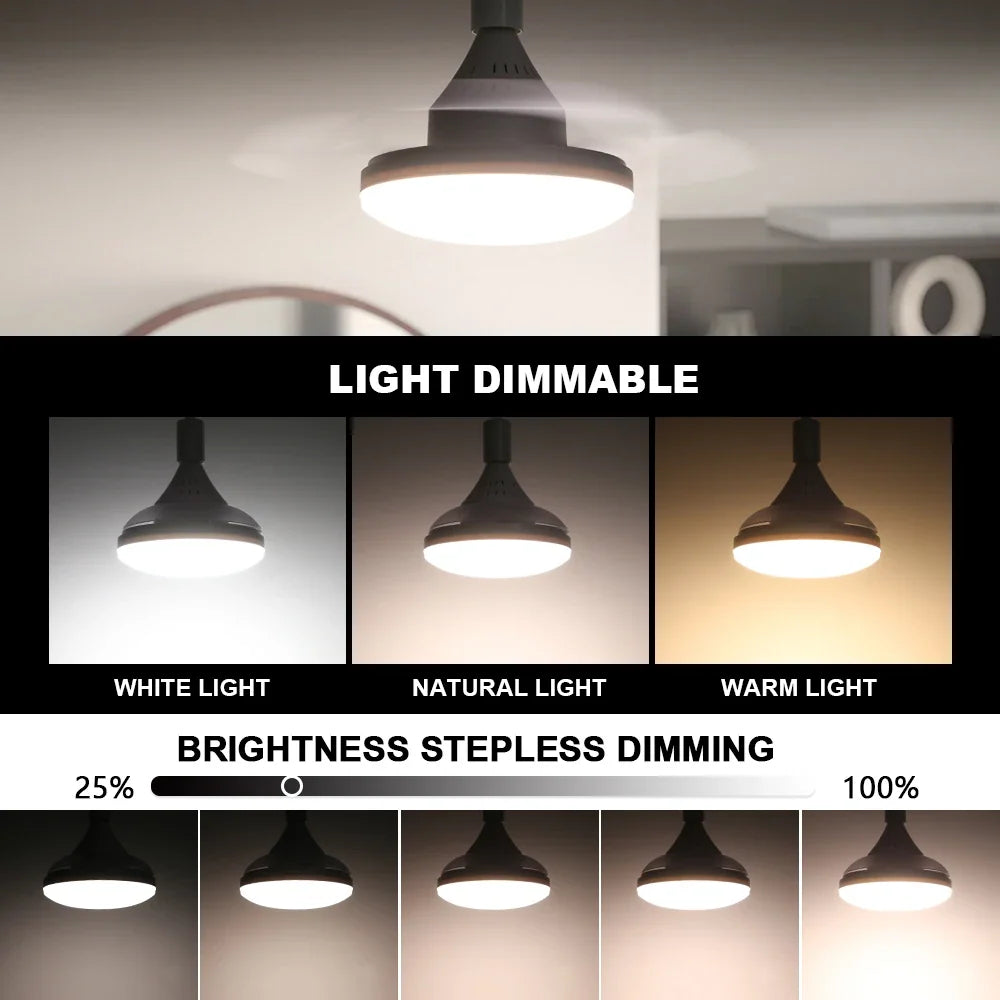 RC 2 in 1 Invisible Blade Ceiling Fan Light